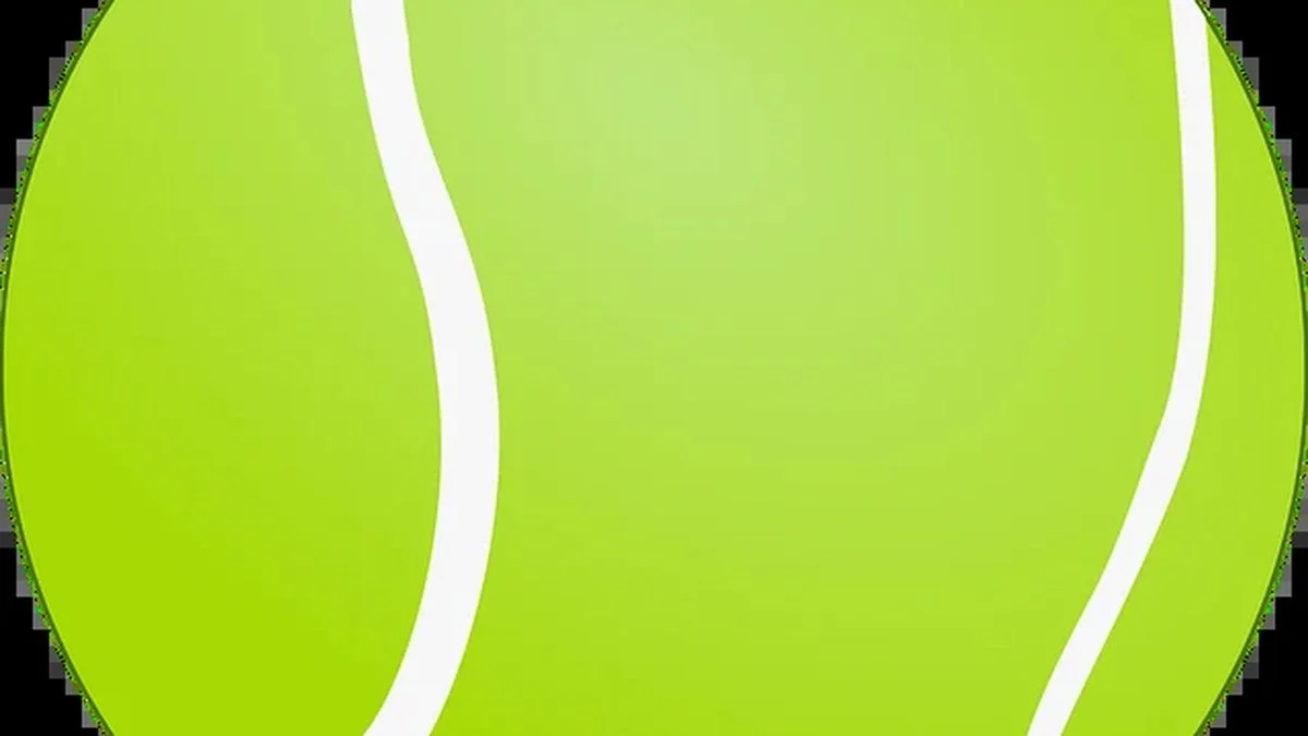 塞蕾娜回归受阻：姆博科伤退下的进攻效率与终结质量